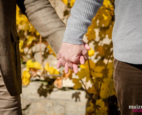 Gay Engagement Shooting Würzburg